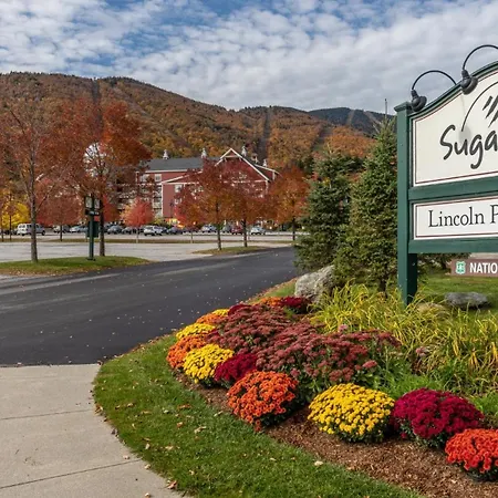 41 Summit Condo Near Mountain Shuttle